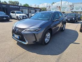 Lexus UX 250h, 2.0 l., off-road / crossover