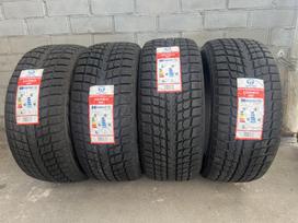 Leao Green Max Winter Defender ICE, žieminės 255/45 R18