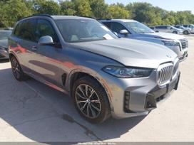 BMW X5, visureigis / krosoveris