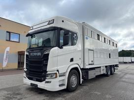Scania R580, livestock trucks