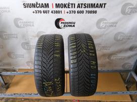 Nexen Winguard sport 2, žieminės 225/45 R17