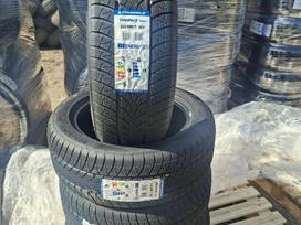 Triangle TW 401, žieminės 225/50 R17