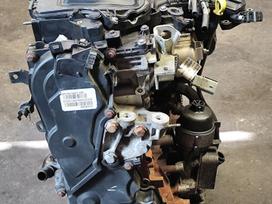 Ford Galaxy, TXWA, engine