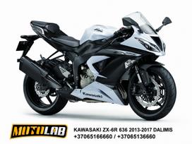 Kawasaki ZX/ZX-R (Ninja), superbikes