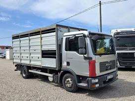 MAN TGL 10.210 Euro4, gyvulių pervežimo