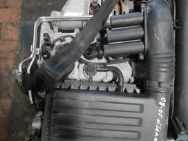 Volkswagen Passat Tik variklis ir dėžė