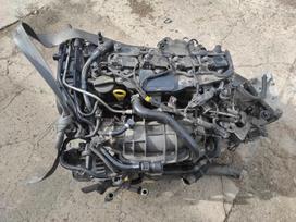Volvo V60 Tik variklis ir dėžė