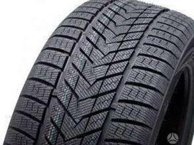 Zmax Winterhawke II, žieminės 315/35 R20