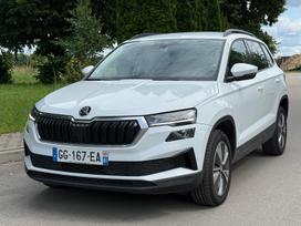 Skoda Karoq, 2.0 l., visureigis / krosoveris