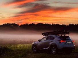 Lexus NX 300h, 2.5 l., Внедорожник / Кроссовер