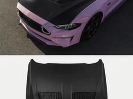 Ford Mustang hood (front, rear)