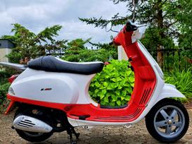 Piaggio Vespa 49cc, scooters / mopeds