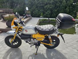 Honda Monkey 125cc, minibikes