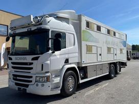 Scania P450, gyvulių pervežimo