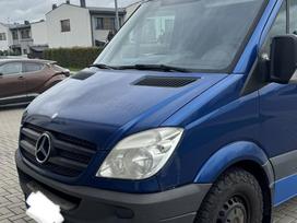 Mercedes-Benz Sprinter, tūristu automašīnas