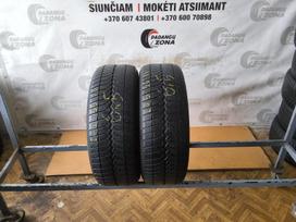 Vredestein Noro Tracz, зимние 205/55 R16