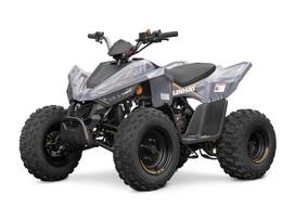 Linhai ATV 110 110cc, keturračiai