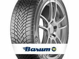 Barum Polaris 6, зимние 205/55 R16
