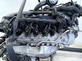 Bentley Continental, Bwr, Bwr 6 0l pilnas