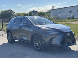 Lexus Nx 450h+, visureigis / krosoveris