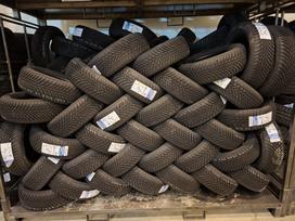 Sailun ALPINE EVO 2, winter 205/60 R16