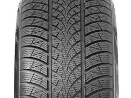 Triangle TW401, winter 225/50 R17