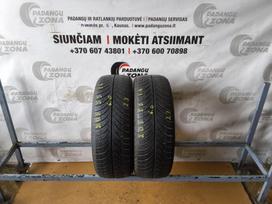 -Kita- Grenlander Greenwing a/s, всесезонные 205/55 R16
