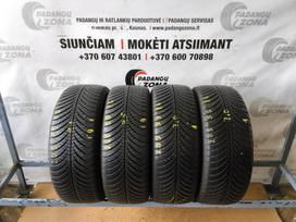 Goodyear Vector4seasons, all-season 205/55 R16
