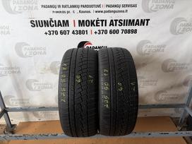 Zeetex WH1000, winter 225/50 R17