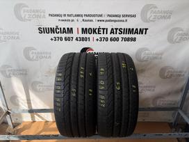 Pirelli P Zero, vasarinės 255/40 R18