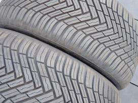 Nexen 2025 metų, universalios 255/50 R19