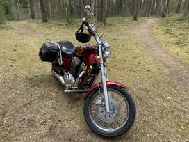 Suzuki Intruder, čioperiai / kruizeriai / custom
