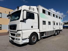MAN TGX 26.480, gyvulių pervežimo