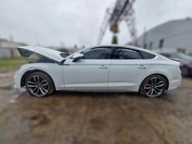 Audi S5 dalimis. Dalimis