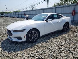 Ford Mustang, 2.3 l., kupė (coupe)
