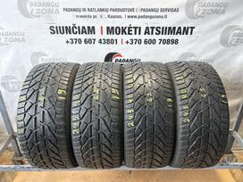 Taurus Winter, winter 245/40 R18