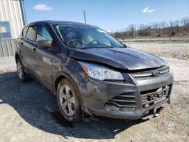 Ford Escape dalimis. Escape III automobiliai