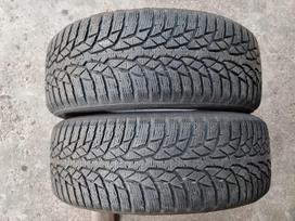 Nokian WR 4D, žieminės 225/55 R17
