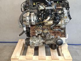Ford Ranger, YN2X, двигатель