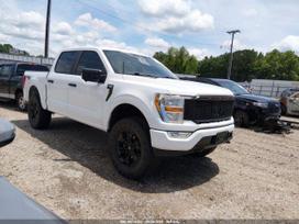 Ford F-150, off-road / crossover