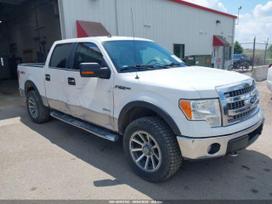 Ford F-150, Внедорожник / Кроссовер