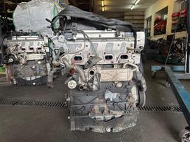 Audi A3, CFFB, Variklio kodas cff cffb
