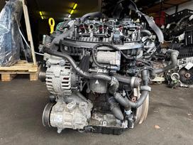 Seat Leon, DKZ, Variklio kodas dkz