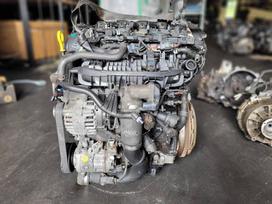 Volkswagen Golf, CHH, pavarų dėžė, variklis