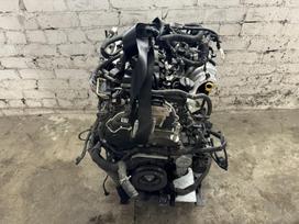 Ford Focus, ZTDA, двигатель
