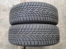 Nokian Snowprof 1, winter 195/65 R15