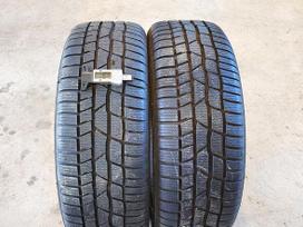 Continental Winter contact TS 830P, winter 205/60 R16