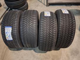 Triangle TW421, winter 245/50 R19