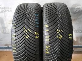 Michelin CrossClimate 2, universalios 225/55 R19