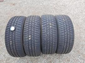 Barum Polaris 5, žieminės 205/55 R16